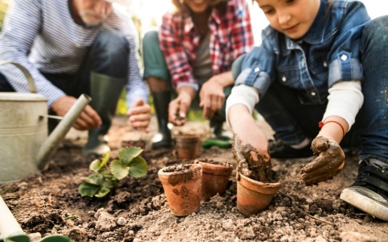 Gardening Unit Study for Homeschoolers: Ideas and Activities