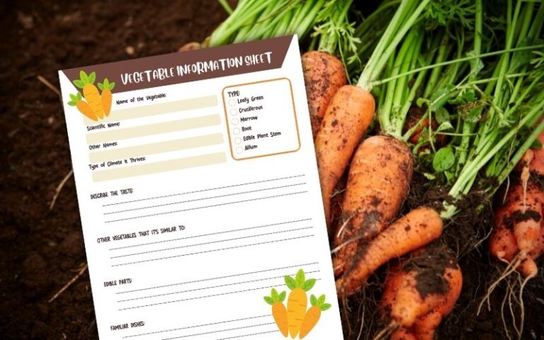 Vegetable Study Worksheet @ UnitStudyIdeas.com