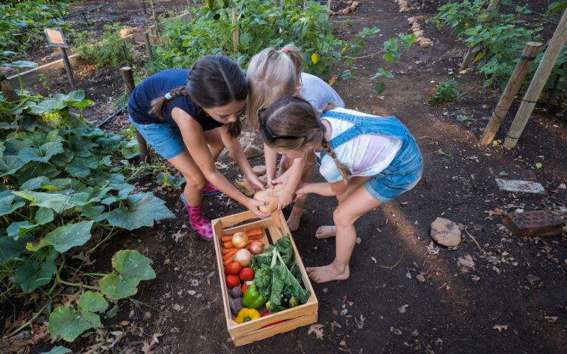 Gardening Projects for Homeschool @ UnitStudyIdeas.com