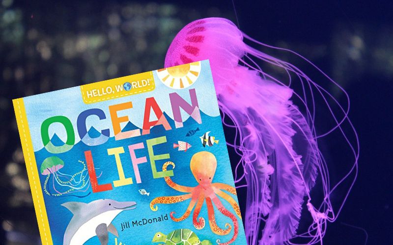 Discover the Wonders of the Sea: Ocean Themed Books for Kids